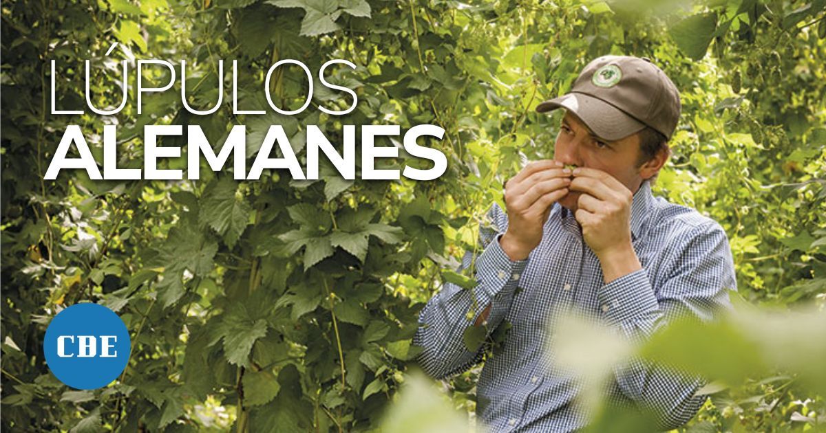 Lúpulos alemanes