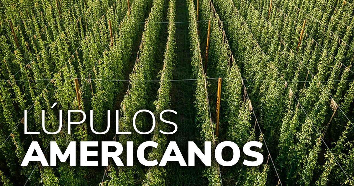 Lúpulos americanos