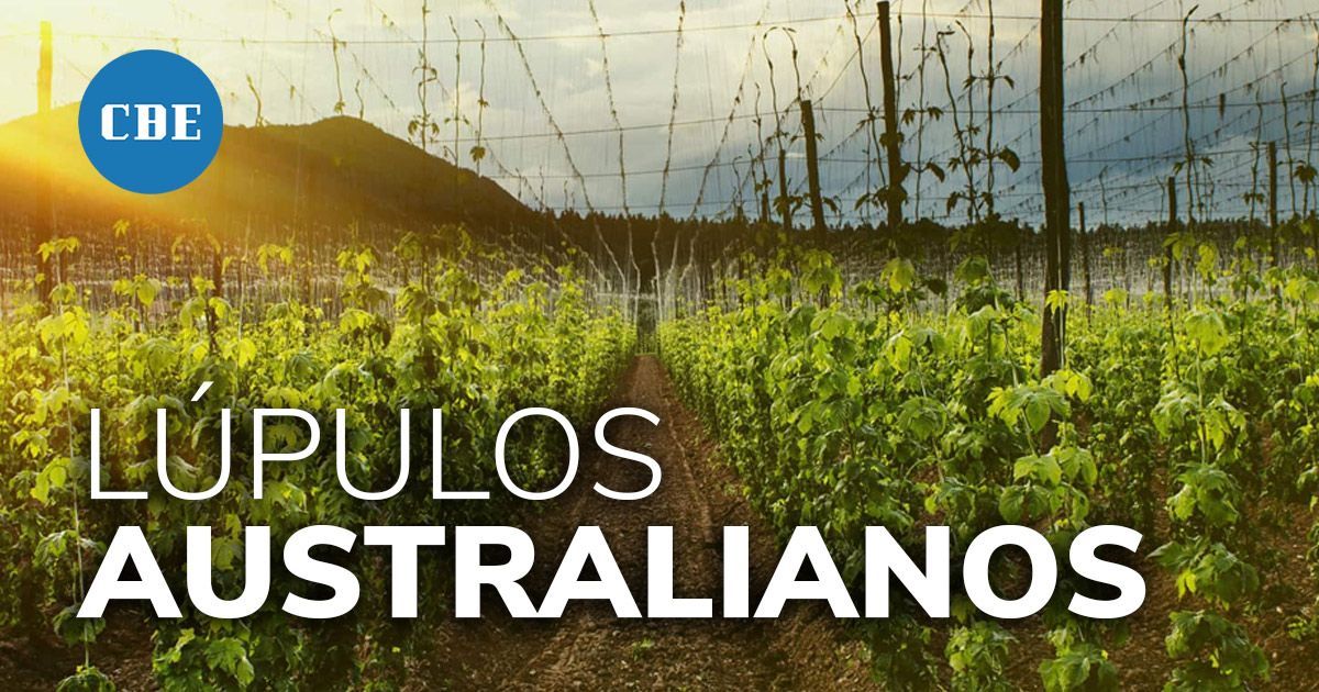 Lúpulos australianos