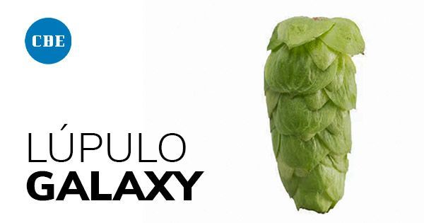 Lúpulo australiano Galaxy