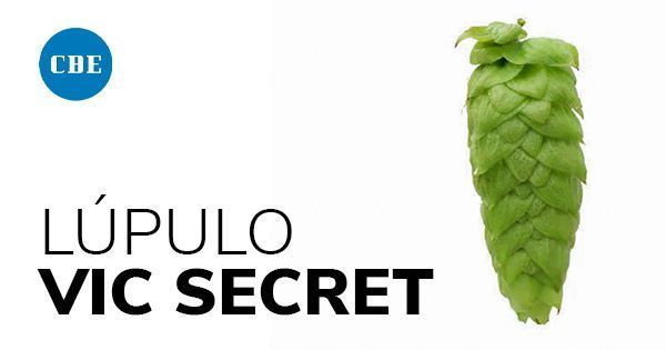 Lúpulo australiano Vic Secret