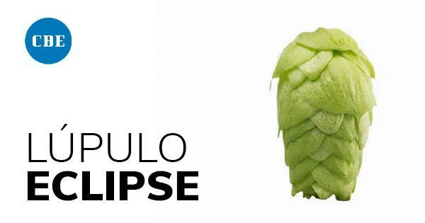 Lúpulo australiano Eclipse